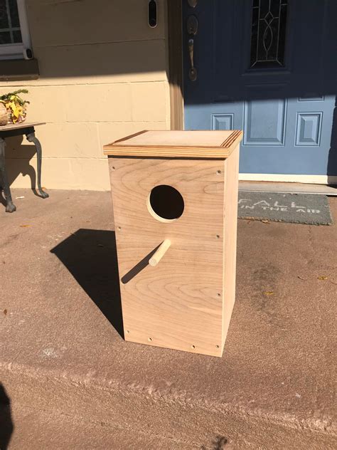 large metal nest boxes for parrots|indian ringneck parrot nesting box.